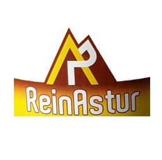 Reinastur