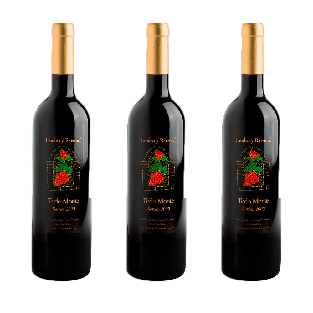 Todomonte Barrica Gran Reserva 2005 - Pack 3 botellas