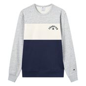miniatura Imagen SUDADERA CHAMPION ICONS PLUS MARINO GRIS BEIGE 221228-EM021 HOODIE HOMBRE