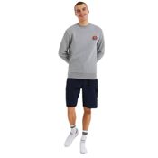 miniatura Imagen SUDADERA ELLESSE DIVERIA GRIS MARL SHS02215-112 HOMBRE HOODIE