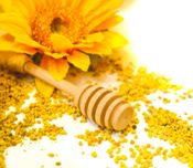 miniatura Lote artesano de Miel de Azahar Miel mil flores y Polen 2