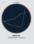 miniatura Capricornio